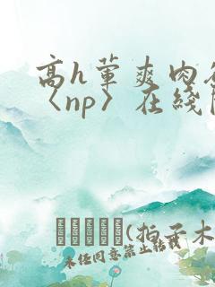 高h荤爽肉欲文〈np〉在线阅读