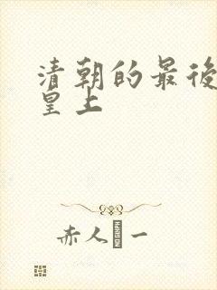 清朝的最后一位皇上