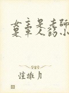 女主是老师男主是军人的小说