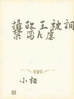 摄政王被调教成禁脔h虐