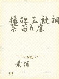 摄政王被调教成禁脔h虐