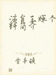 演员王辉个人资料简介