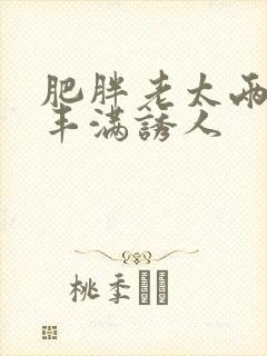 肥胖老太两腿间丰满诱人