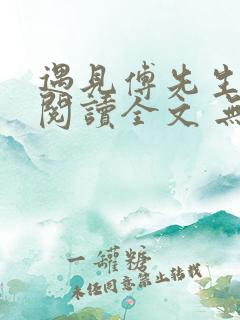 遇见傅先生免费阅读全文 无弹窗