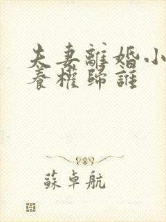 夫妻离婚小孩抚养权归谁