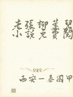 老张柳叶儿媳妇小说免费阅读