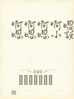 啊啊啊啊嗯嗯嗯嗯嗯嗯小说