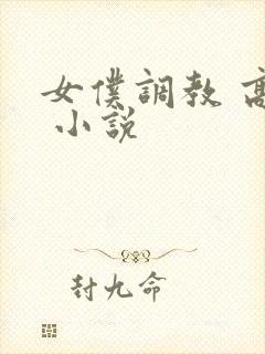 女仆调教 高h 小说