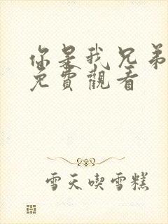 你是我兄弟在线免费观看