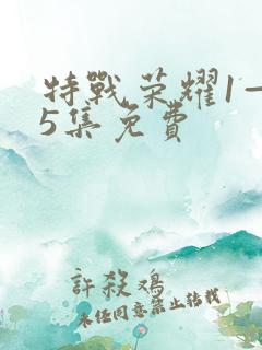 特战荣耀1—45集免费