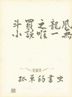 斗罗之龙凰传说小说唯一无双