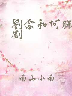 刘念和何聪睿短剧