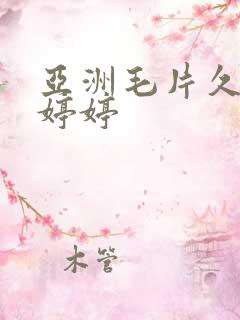 亚洲毛片久久久婷婷