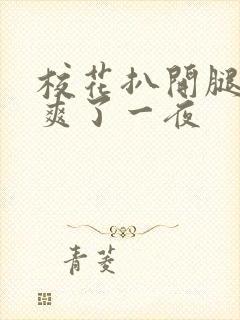 校花扒开腿让我爽了一夜