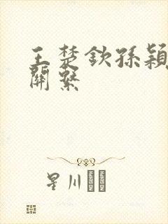 王楚钦孙颖莎的关系