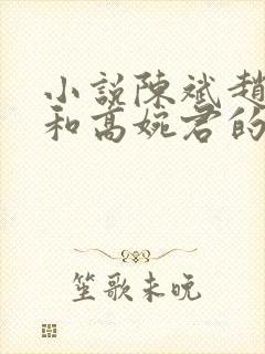 小说陈斌赵心媚和高婉君的小说免费阅读