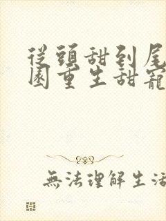 从头甜到尾的校园重生甜宠文