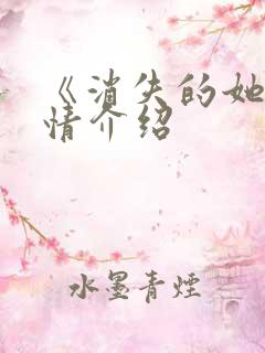 《消失的她》剧情介绍