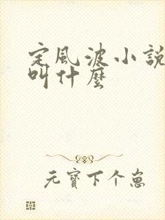 定风波小说原著叫什么