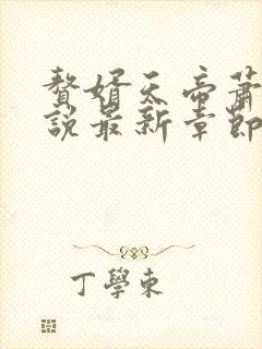 赘婿天帝萧逸小说最新章节免费阅读