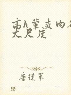 高h荤爽肉欲文大尺度