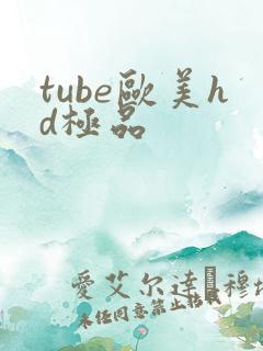 tube欧美hd极品