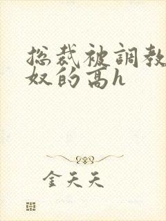 总裁被调教成贱奴的高h