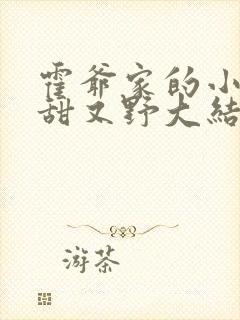 霍爷家的小祖宗甜又野大结局