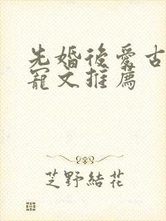 先婚后爱古言甜宠文推荐