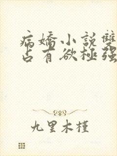 病娇小说双男主占有欲极强