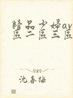 精品少妇av一区二区三区