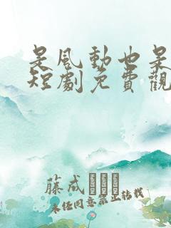 是风动也是心动短剧免费观看全集