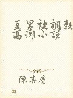 直男被调教玩弄高潮小说