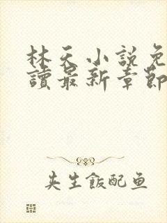 林天小说免费阅读最新章节