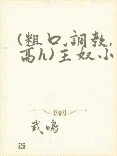 (粗口,调教,高h)主奴小说