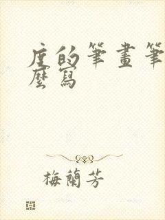 度的笔画笔顺怎么写