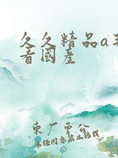 久久精品a毛片看国产