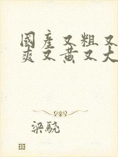 国产又粗又猛又爽又黄又大视频