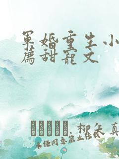 军婚重生小说推荐甜宠文