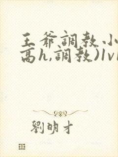 王爷调教小说(高h,调教)1v1