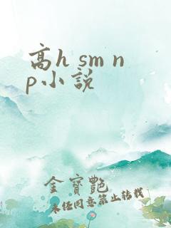 高h sm np小说
