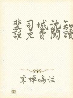 裴司城沈知意小说免费阅读最新章节