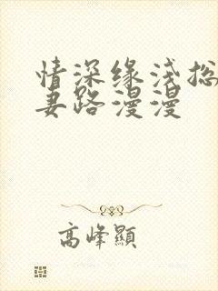 情深缘浅总裁追妻路漫漫