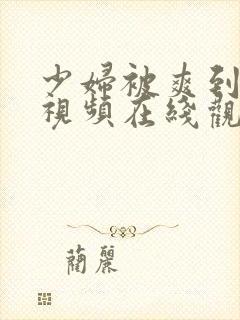 少妇被爽到呻吟视频在线观看