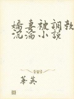 娇妻被调教开发沉沦小说
