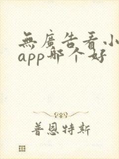 无广告看小说的app哪个好