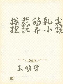 总裁的乳尖被揉捏玩弄小说