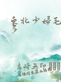 东北少妇毛多水多
