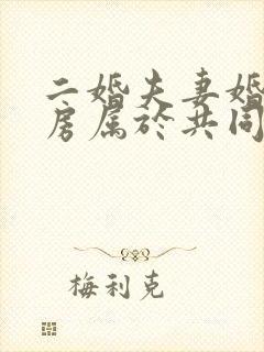 二婚夫妻婚后买房属于共同财产吗