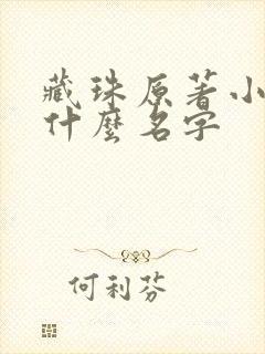 藏珠原著小说叫什么名字